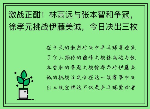 激战正酣！林高远与张本智和争冠，徐孝元挑战伊藤美诚，今日决出三枚金牌！