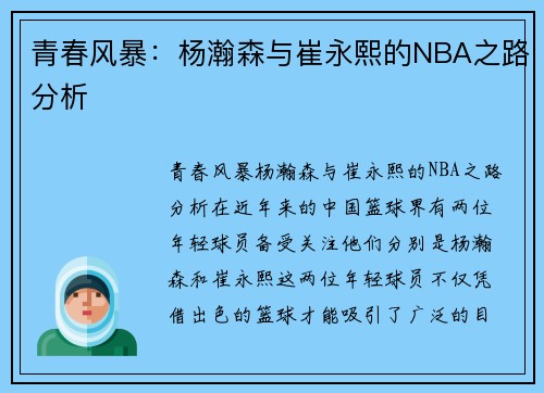 青春风暴：杨瀚森与崔永熙的NBA之路分析