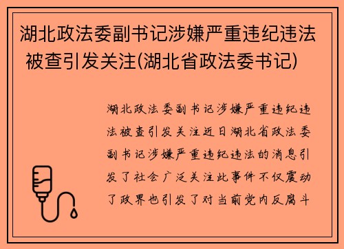 湖北政法委副书记涉嫌严重违纪违法 被查引发关注(湖北省政法委书记)